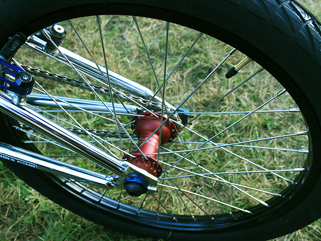 Madera V2 Cassette Hub rear